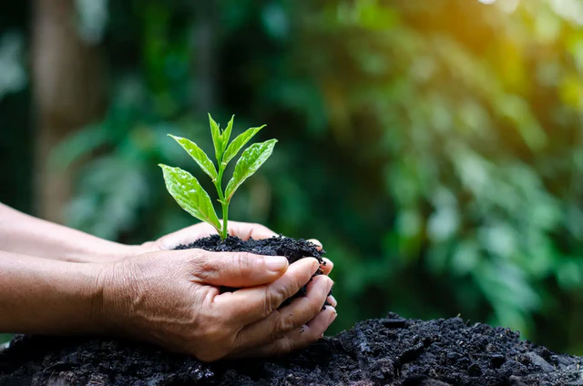 Environmental Services